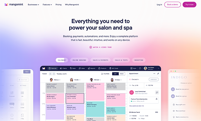 Screenshot of Mangomint’s homepage